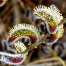 (주)마중 이미지