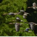 하버드당구장 이미지