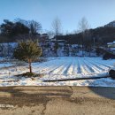 동골농장 이미지