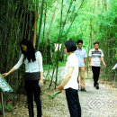 청백리길 이미지