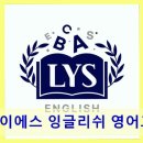 엘와이에스