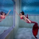 [머메이드] PADI 머메이드 다이빙 북항마리나 수중촬영 후기 (feat. 다이브플래닛)