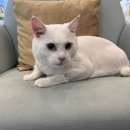 팡앤뭉치 이미지