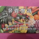 유림청과 이미지