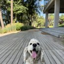 목적지9 이미지