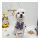 한일애견미용실 이미지