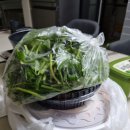 순천일성곱창 이미지