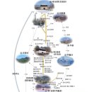 새춘천주유소 이미지