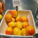 청명민박 | [🇨🇭스위스] 인터라켄에서 “스위스 감성 폭발!“ 사랑의 불시착 촬영지 이젤트발트를 혼자 다녀왔어요