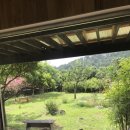 살롱드정원 이미지