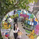 용인시 동물보호센터 | 아이와 성수동 나들이/ 용인시 동물 보호 센터 유기견 봉사 / 광교 코트야드 메리어트 ‘수원 키친...