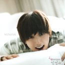 산들 강아지 이미지