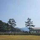 1109 고흥 유자축제장 이미지