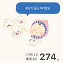 (주)빌리지베이비 | 쌍둥이맘 필수 임신어플 [베이비빌리] 실사용 후기