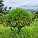 가람목장 이미지