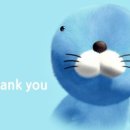 춘천 프로포즈 이미지