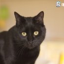 메종동물병원 이미지