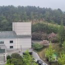 늘푸른전당 공연장 이미지