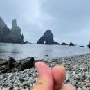 울릉도바닷가 상일펜션 이미지