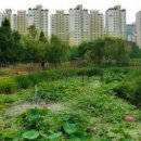 대우이안공인중개사사무소 이미지