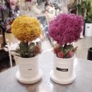 명곡동286 이미지