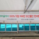 싱싱농산물 이미지