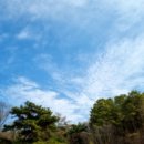 금전길 | 인천점집 연평만신 선생님의 신통한 신점 후기