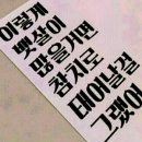 통영문참치통영