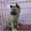 해반천로 이미지