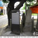 한국의 성지와 사적지(가톨릭)- 영광지역 순교자 기념성당 안내 이미지