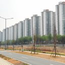 다산현대약국 이미지