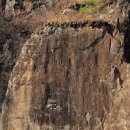 함안 방어산 마애약사여래삼존입상: 신라 시대의 숨결 이미지