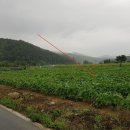 단석보건진료소 이미지