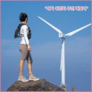 편한발기능성워킹화 | 발편한 기능성운동화 찾는다면?스프링 워킹화 ‘워라이즈’ 실착 후기ㅇㅇ