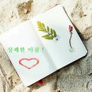좋은 아침 예쁜 글귀 이미지 이미지