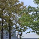 동탄하나로약국 이미지