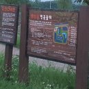 죽산천 | 안성 죽산천 인공습지 강아지 산책 후기