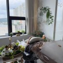 울산 헤드스파 잘하는 곳 송정 살롱드비숑 레귤러두피관리 후기