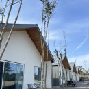 스테이인숲 이미지