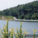 송정 박상진호수공원 고헌정 이미지