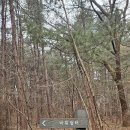 관악산 무장애숲길 | 관악산 무장애숲길