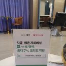 애비뉴 헤어꽃