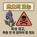 초온 | 초오의 효능 : 독성 경고, 복용 전 꼭 알아야 할 정보