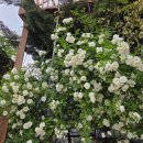 한옥마을 놀이터 | [전주 아이와 가볼만한곳] 전주 난장 내돈내산, 6세 아이랑 한옥마을 실내 놀거리 솔직후기