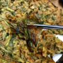 웰빙 전주콩나물 해장국 이미지