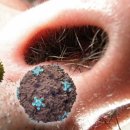 온누리뿌리약국 이미지