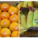 돌고래상가 이미지