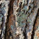 해암리 게바위 이미지