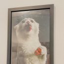 테크노전자타운 | 춘천 상상마당 전시 관람후기 &lt;전율(電律) | EXHIBITION&gt;