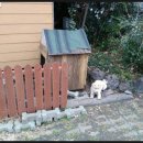 돌과 바람 호스텔 이미지